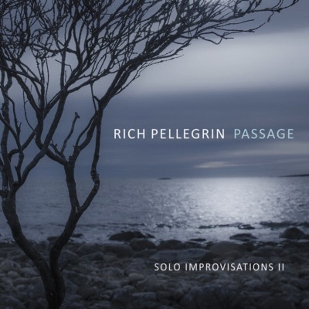 the album cover for Rich Pellegrin - Passage: Solo Improvisations Ii