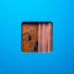 モダン・エラー - ヴィクティム・オブ・ア・モダン・エイジ（レコード）