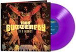 Iron Butterfly - Live In Sweden 1971 - Purple (Vinyl)