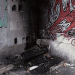 Varios Artistas - In Trux We Pux 04 (Varios Artistas) (Vinilo)