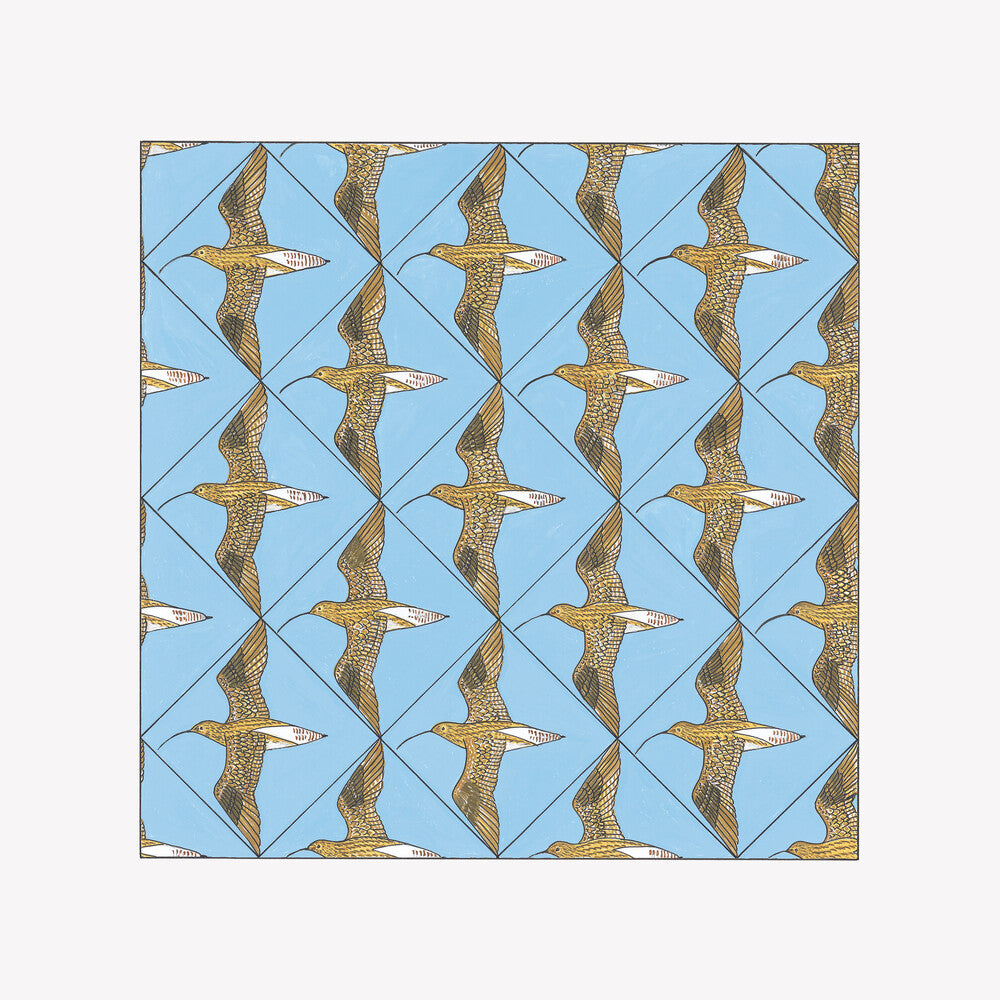 the album cover for Curlew Sounds - Simmerdim: Curlew Sounds