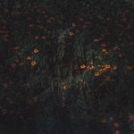 the album cover for Compro Oro - Estarantos