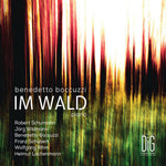 the album cover for Boccuzzi / Boccuzzi - Im Wald