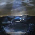 the album cover for Barbieri, Caterina - Spirit Exit