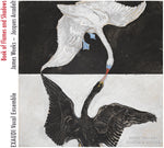 the album cover for Arcadelt / Exaudi Vocal Ensemble - Book of Flames & Shadows