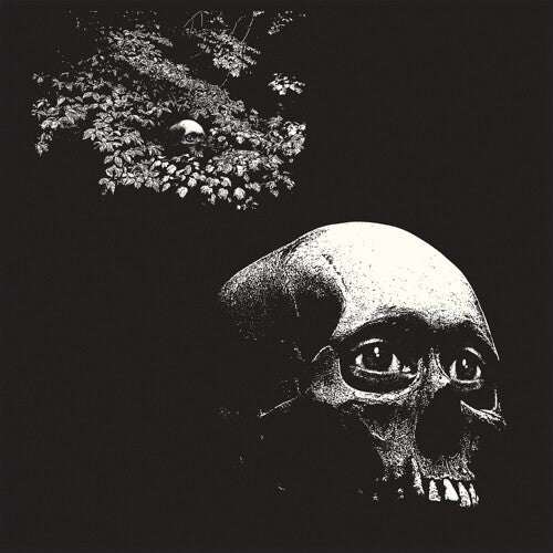 Osees - Foul Form (Vinilo)