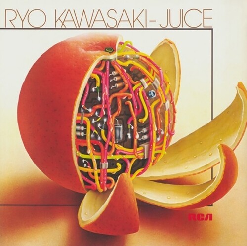 Ryo Kawasaki - Juice (Vinilo)