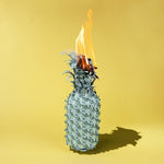 ザ・ハッピー・フィッツ - アンダー・ザ・シェイド・オブ・グリーン (UO) (レコード)