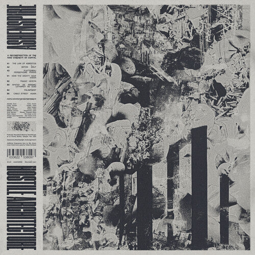 Hostile Architecture (Vinyl)