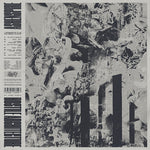 Hostile Architecture (Vinyl)