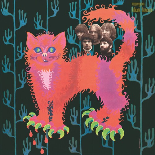 The Pussy Group - Pussy Plays (Vinyl)