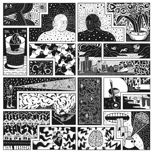 Will Sessions - Electromagnetic Reality (Vinyl)