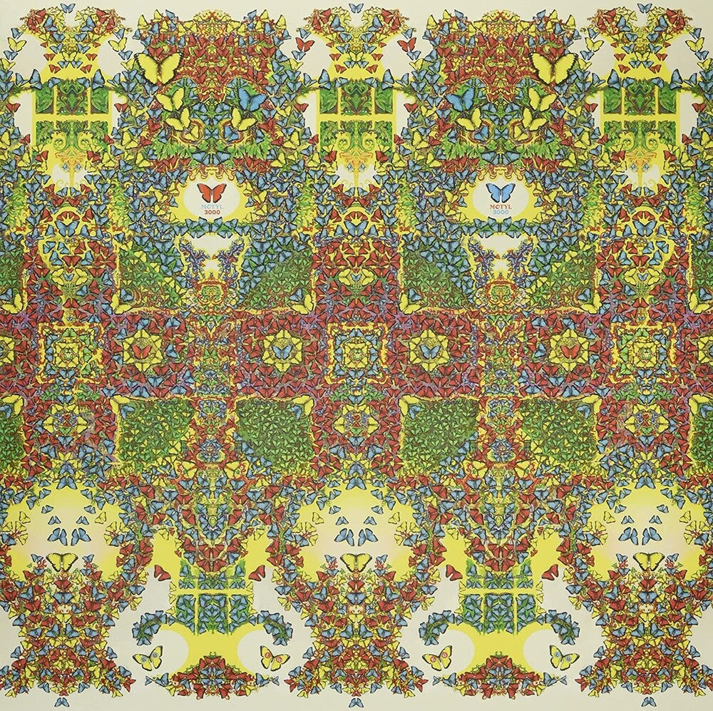 the album cover for King Gizzard & The Lizard Wizard - Butterfly 3000 [Indie Exclusive Limited Edition Polish LP]