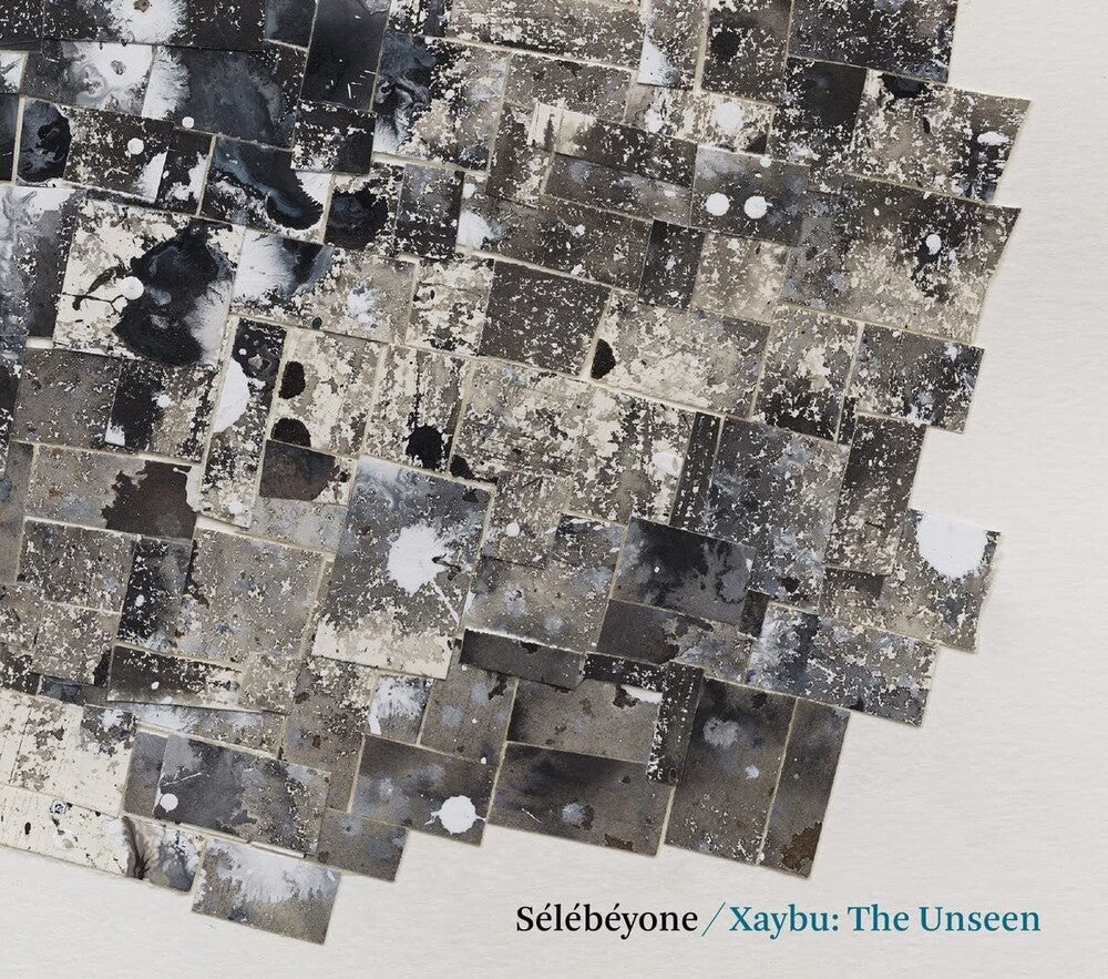 the album cover for Steve Lehman/ Selebeyone - Xaybu: The Unsee