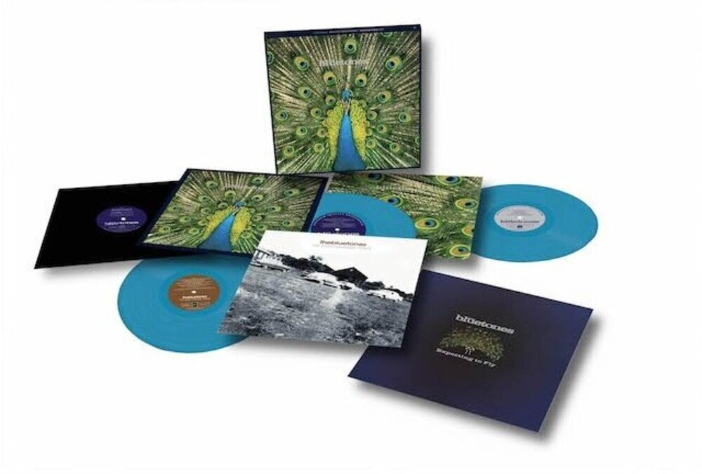 the album cover for Bluetones - Expecting To Fly: 25th Anniversary (Blue) [Colored Vinyl]