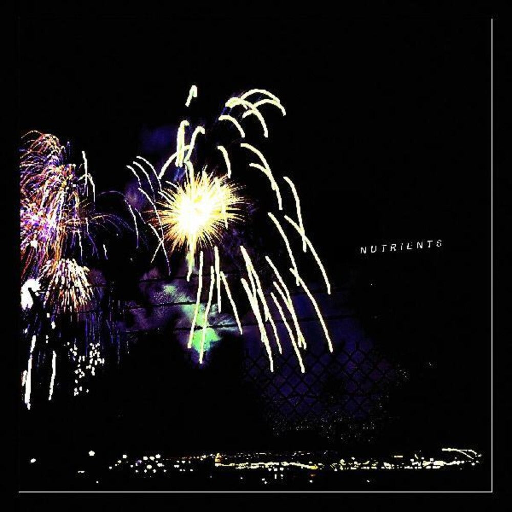 the album cover for Nutrients - Different Bridges