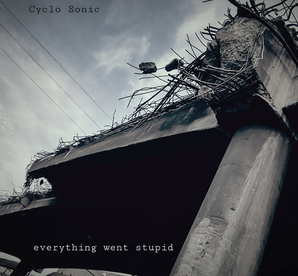 the album cover for Cyclo-Sonic - Everything Went Stupid
