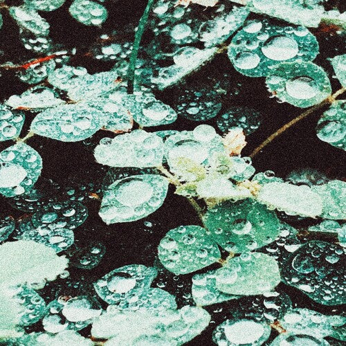 Tristeza - Cámara de lluvia (CD)