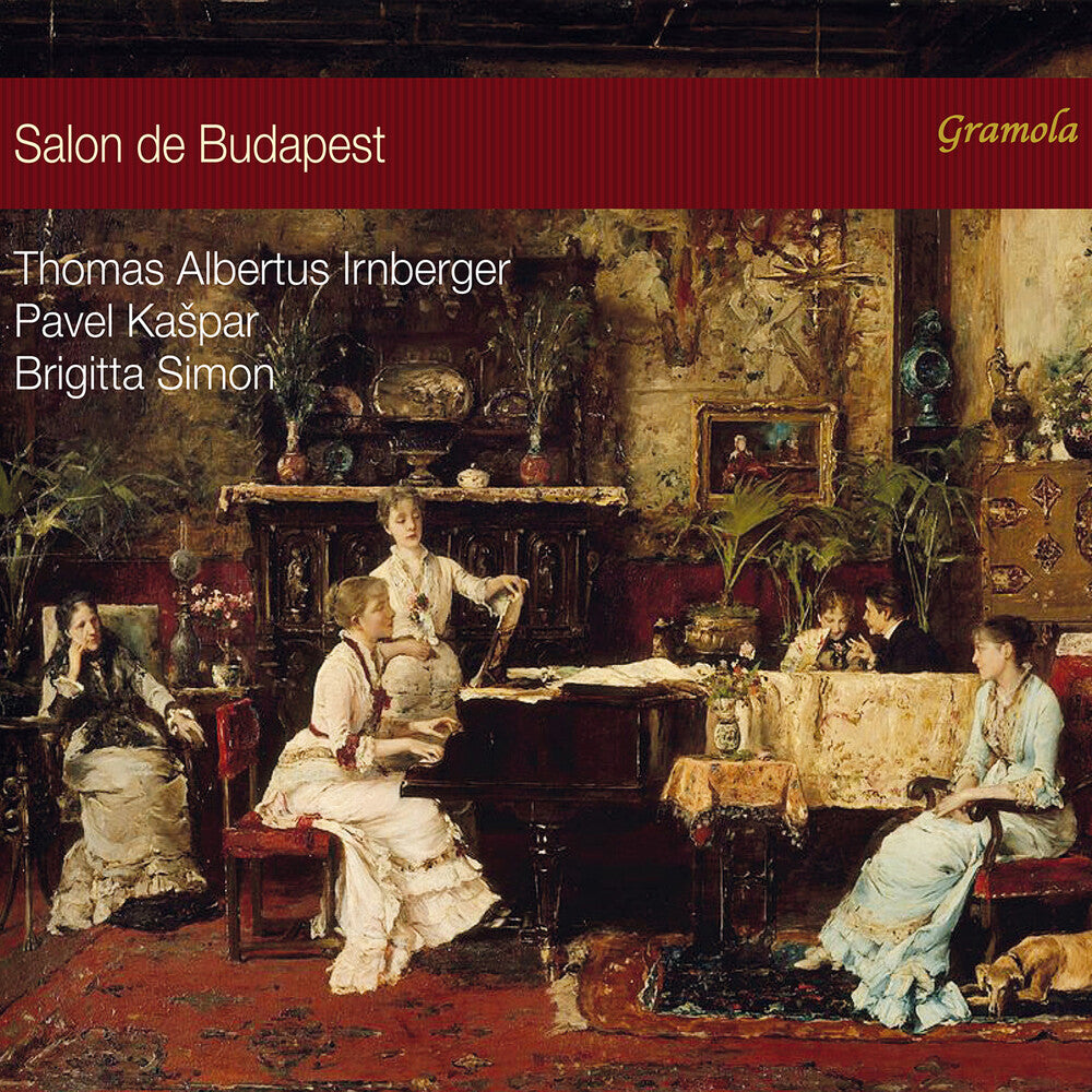 the album cover for Auer / Irnberger / Simon - Salon De Budapest (Hybr)