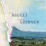 the album cover for Lucas Niggli/ Loibner,Matthias - Still Storm