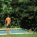 the album cover for Toledo - How It Ends [Indie Exclusive Limited Edition Coke Bottle Clear LP]