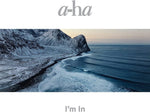 the album cover for A-Ha - True North [Import 2LP]