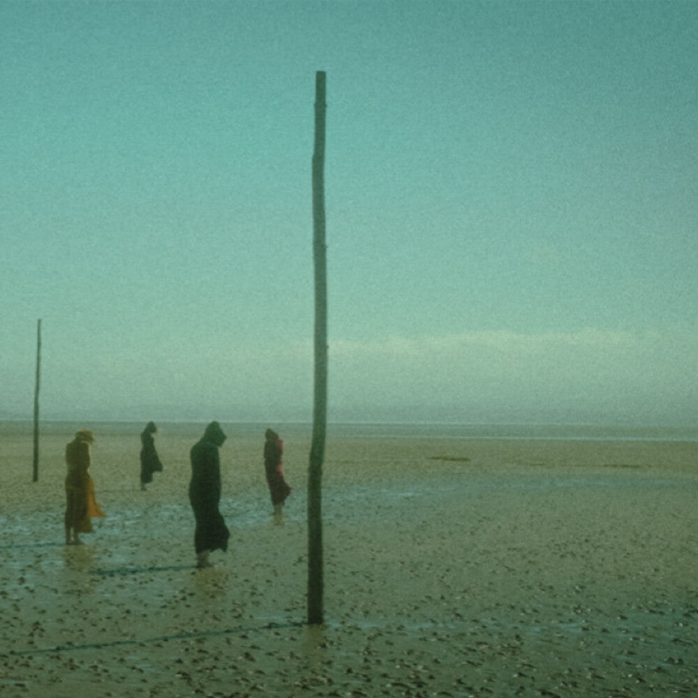 the album cover for Devils Witches - In All Her Forms