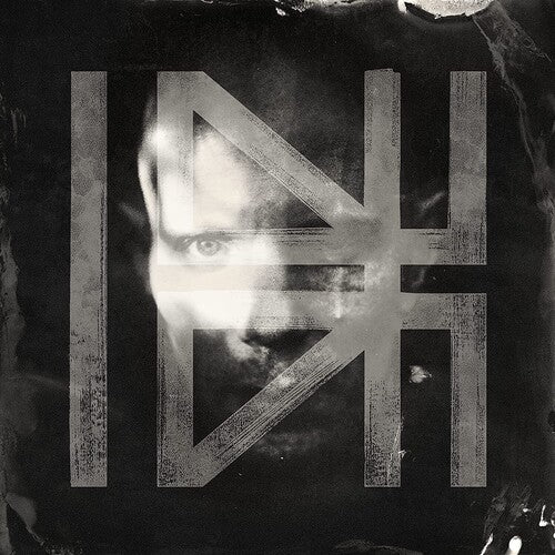 Billy Howerdel - What Normal Was (Vinilo)