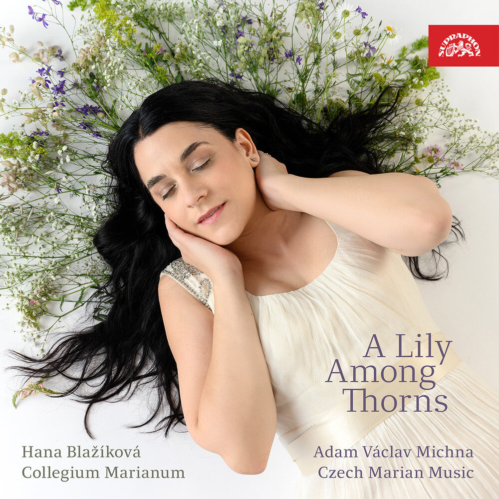 the album cover for Albrici / Blazikova / Semeradova - Lily Among Thorns