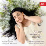 the album cover for Albrici / Blazikova / Semeradova - Lily Among Thorns