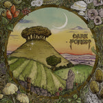 the album cover for Dark Forest - Ridge & Furrow