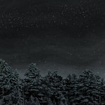 ザ・ベスナード・レイクス - ザ・ベスナード・レイクスは名声の死を祈る（レコード）