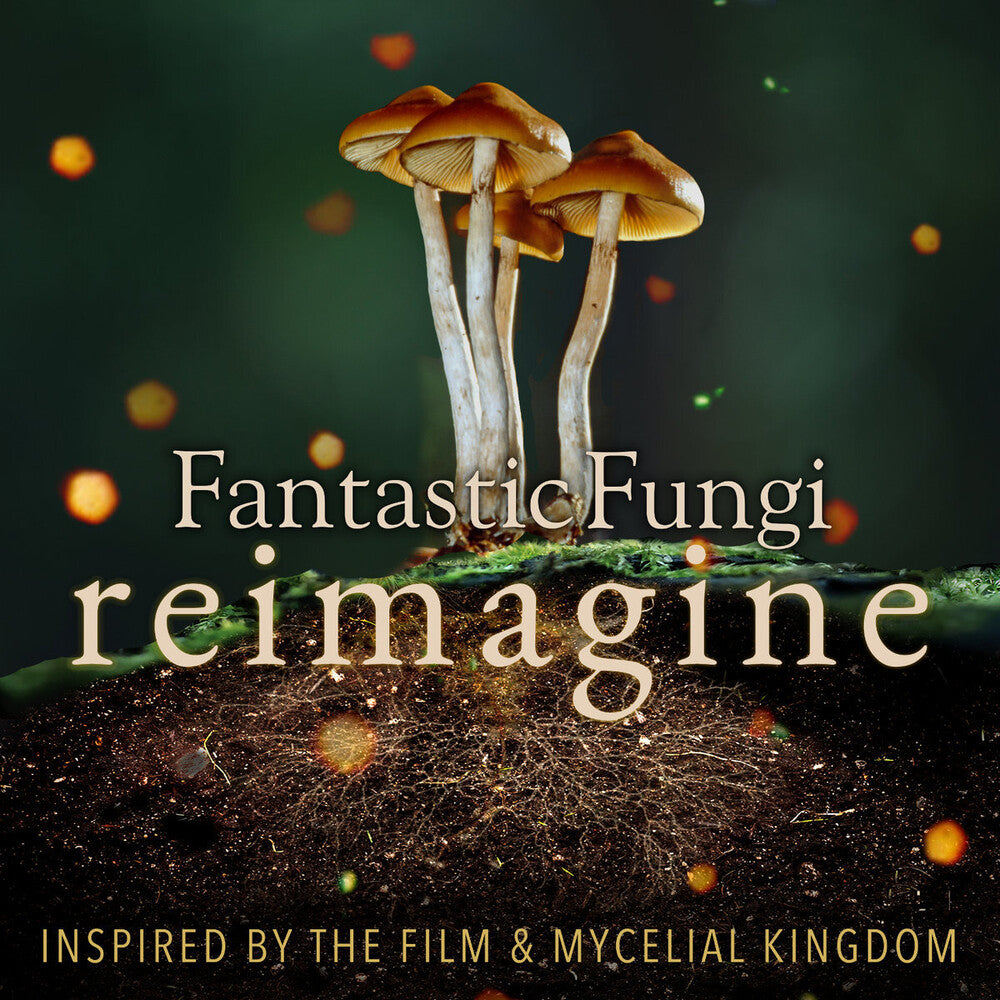 the album cover for Various Artists - Fantastic Fungi: Reimagine (Various Artists)