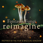the album cover for Various Artists - Fantastic Fungi: Reimagine (Various Artists)