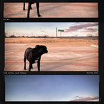 the album cover for Plato III - Devil Has Texas