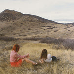 the album cover for Companion - Second Day Of Spring - Green [Colored Vinyl] (Grn)