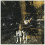 the album cover for Old Fire - Voids