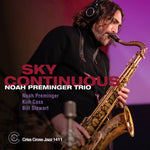 the album cover for Noah PremingerTrio - Sky Continuous