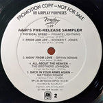 Various : Foreplay #29 (12", Promo, Smplr)