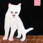 the album cover for Duster - Duster