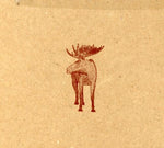 the album cover for Hayden - Skyscraper National Park