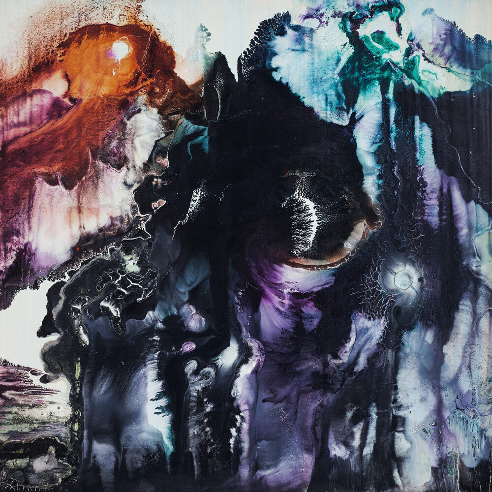 the album cover for Sunking - Smug [LP]