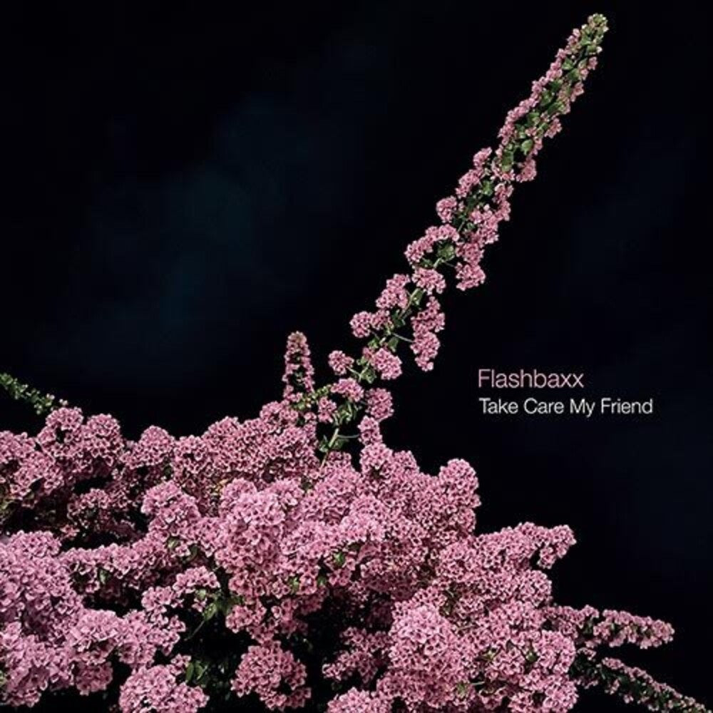 the album cover for Flashbaxx - Take Care My Friend