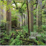 the album cover for Mathias Delplanque - O Seuil