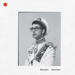 The Bleachers - Gone Now (Vinilo)