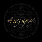 the album cover for Lee Harris & Davor Bozic - Awaken - Gold [Colored Vinyl] (Gol)