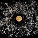 Lisa O'Neill - All Of This Is Chance (Vinyl)