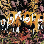 the album cover for Godcaster - Godcaster [Clear Vinyl] [Indie Exclusive] [Download Included]