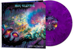 The Prog Collective - Seeking Peace - PURPLE MARBLE (Vinyl)