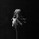 the album cover for FVNERALS - Light [Digipak]